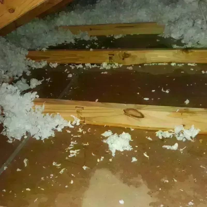 Attic Water Damage in White Salmon, WA